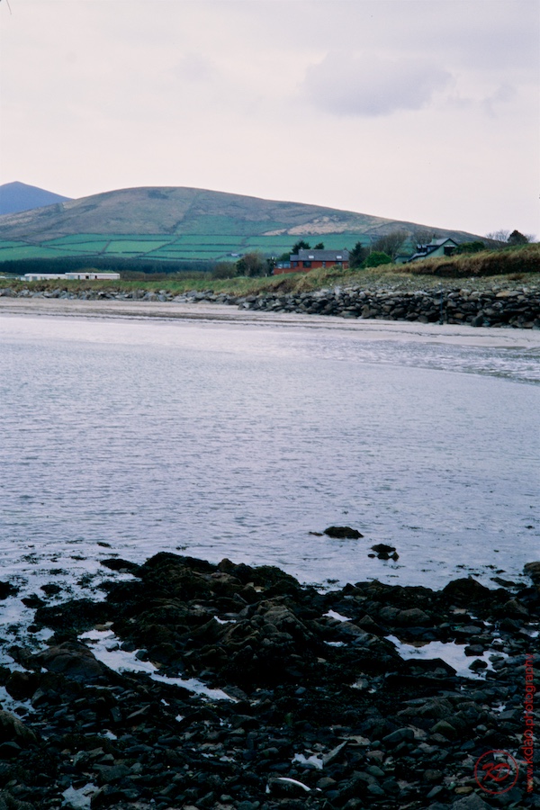 190330A Ektachrome100 030