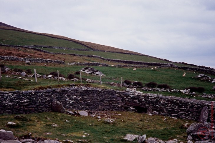 190330B Velvia100 022