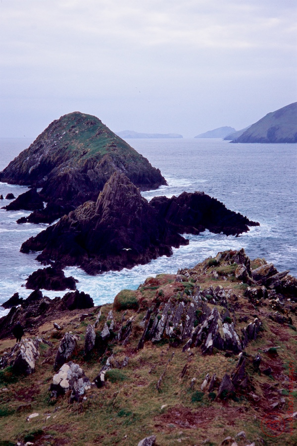 190330B Velvia100 033