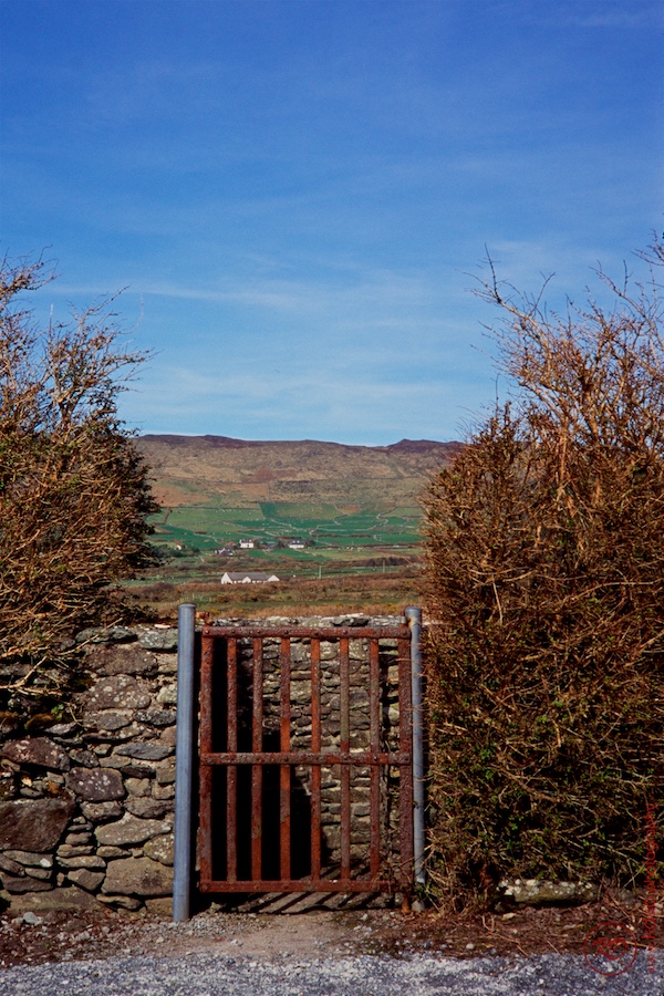 190331 Velvia100 018