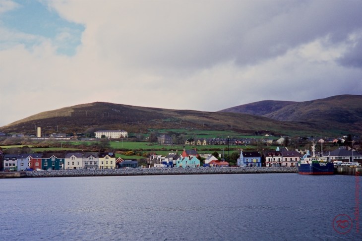 190331 Velvia100 031